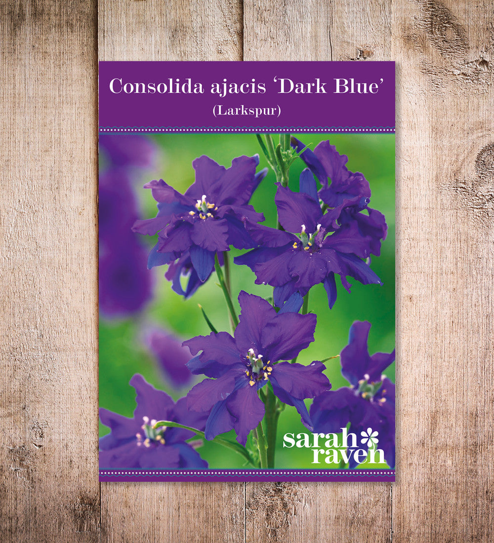 Sarah Raven Seeds Consolida Dark Blue 400 Samen dunkelblau