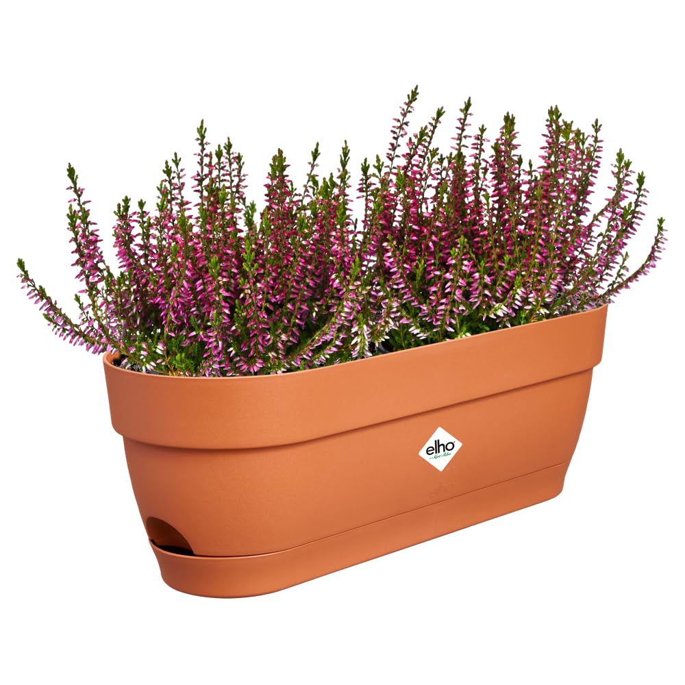 elho Vibia Campana Balkonkasten 50 cm Terra
