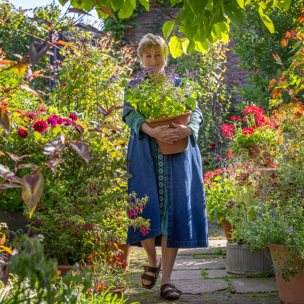 Sarah Raven Spectacular Pots Kurs Rutland 14. Oktober Tag