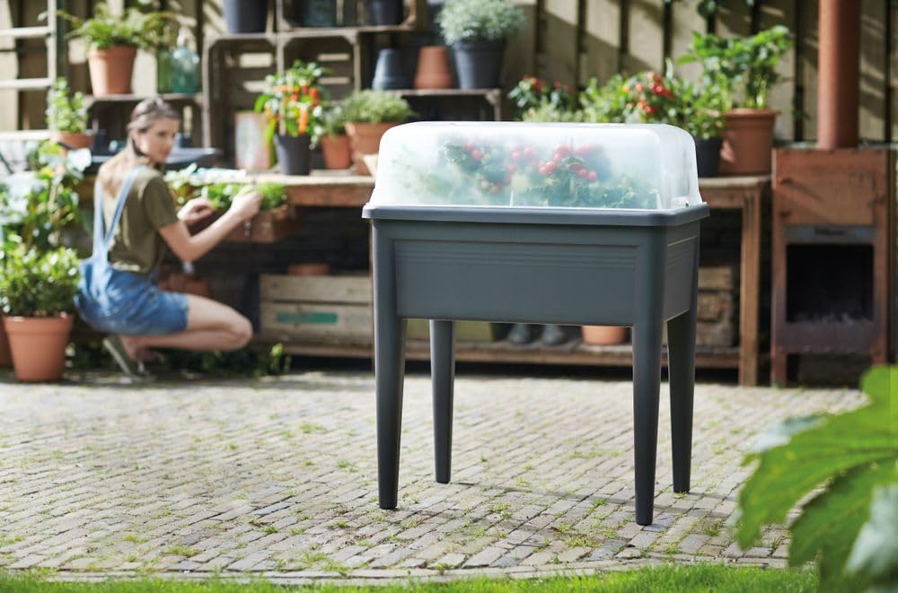 elho Green Basics Anzuchthaus XXL 75 Anzuchthaube transparent
