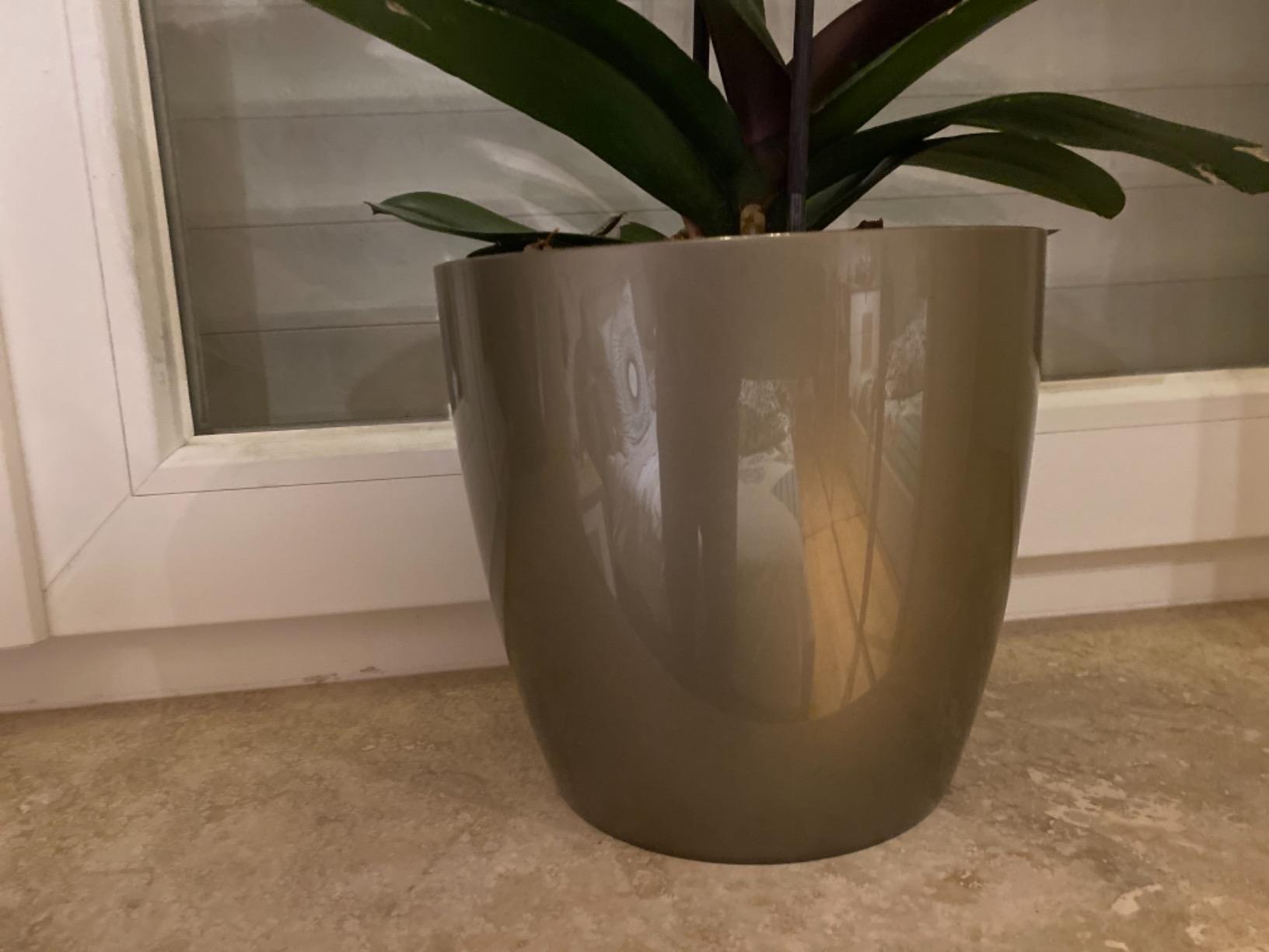 elho Brussels Blumentopf 22cm schwarz metallic rund für innen