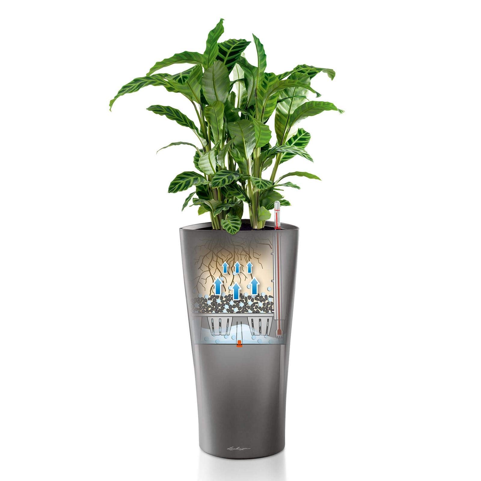 Lechuza Delta 30 Pflanzsäule anthrazit metallic 56,5 cm bewässert
