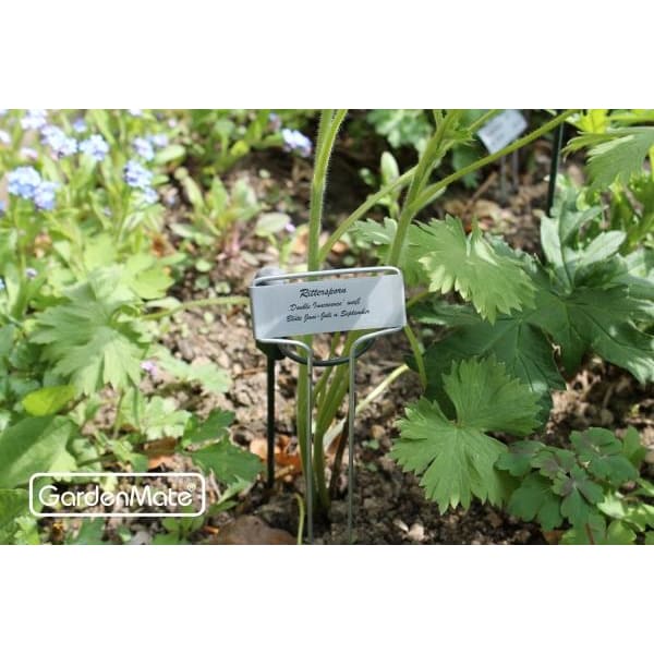 GardenMate Pflanzschilder Banner Metall 26cm 25 Stück