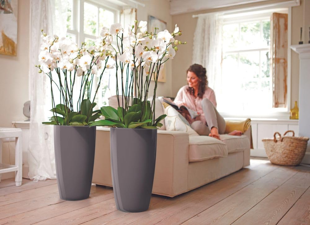 elho Brussels Diamond Rund Hoch 32 Blumentopf Oyster Pearl Kunststoff