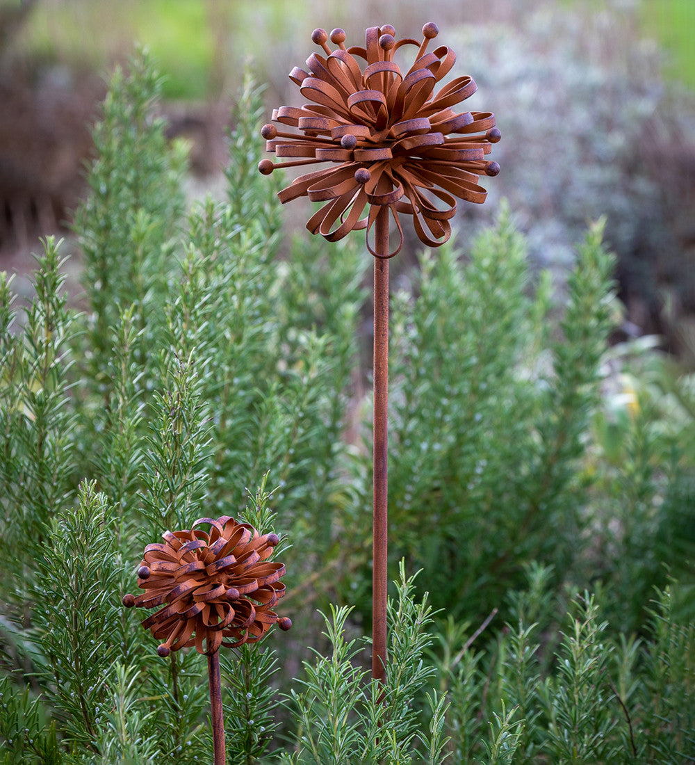 Sarah Raven Dahlia on Stake Beetstecker Metall Klein 74cm rost
