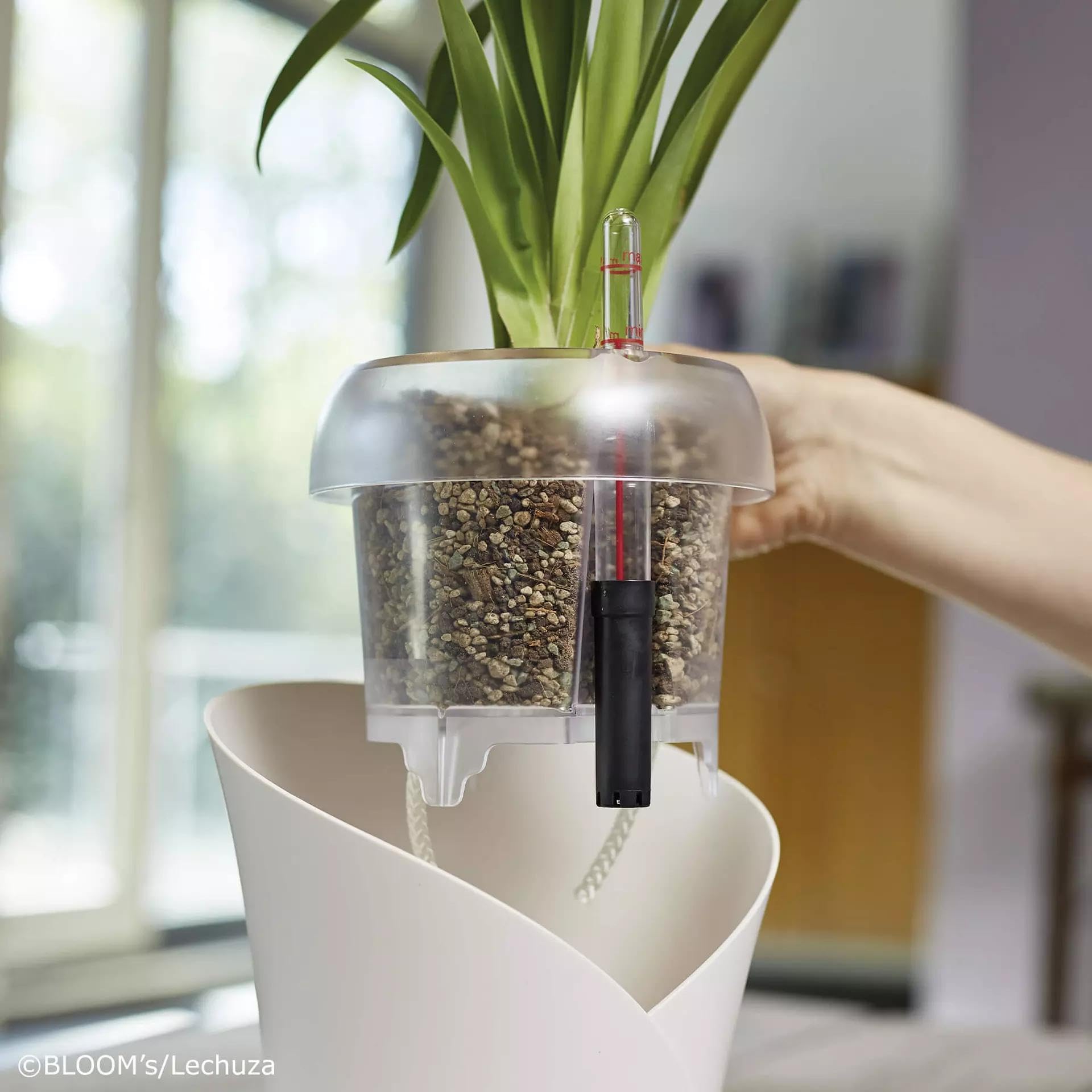 Lechuza Orchidea Color Orchideentopf Weiß Ø18cm Dochtsystem