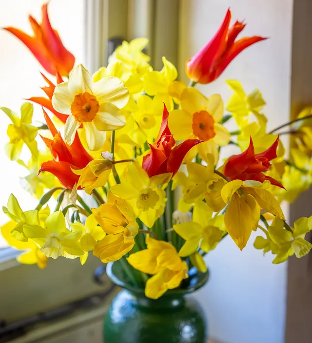 Sarah Raven Bulbs Vase Full of Cheer Blumenzwiebeln 50 Stück duftend