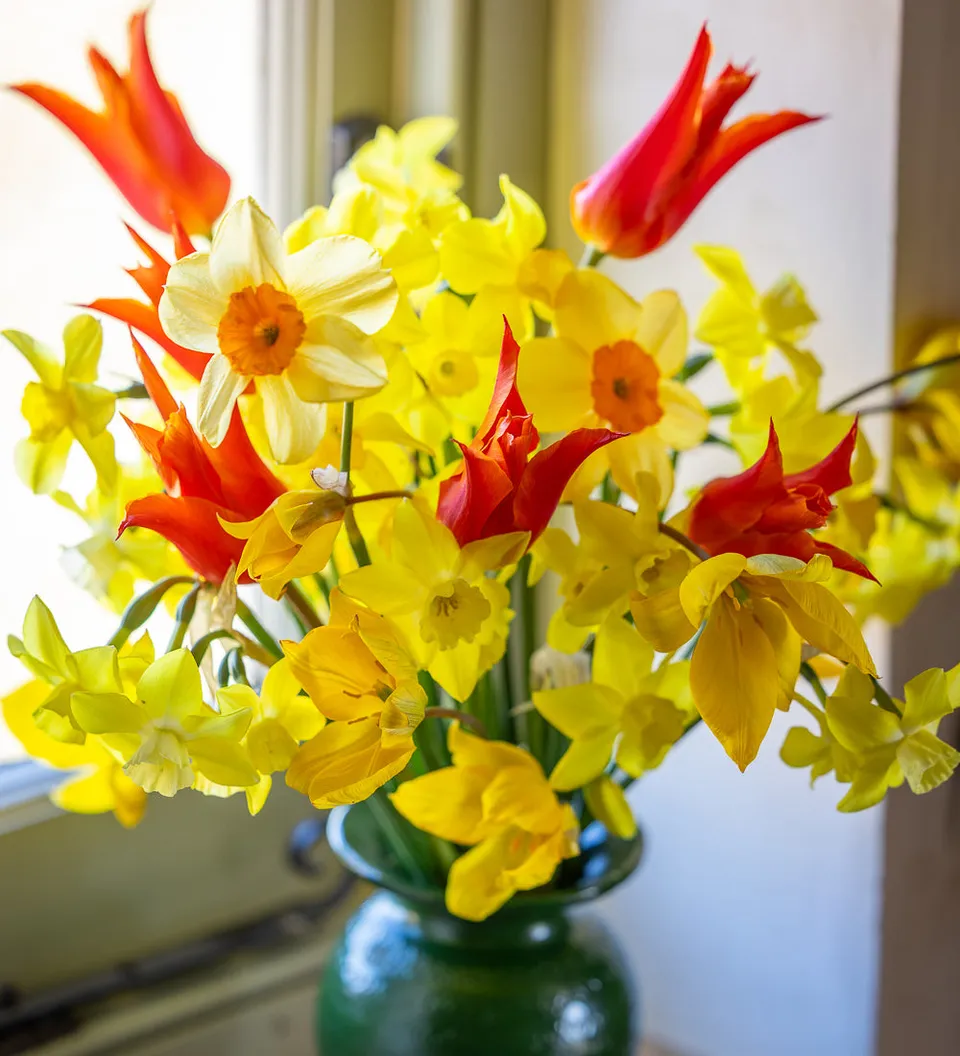 Sarah Raven Bulbs Vase Full of Cheer Blumenzwiebeln 50 Stück duftend