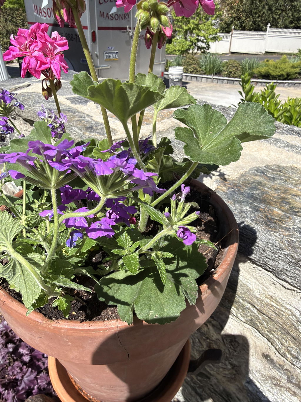 Smart Pot Fabric Planters Stofftopf atmungsaktiv
