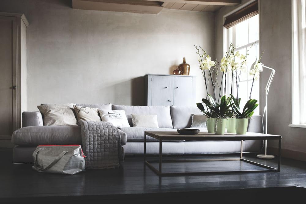 elho Brussels Diamond Orchidee Hoch 12,5 Blumentopf Grün