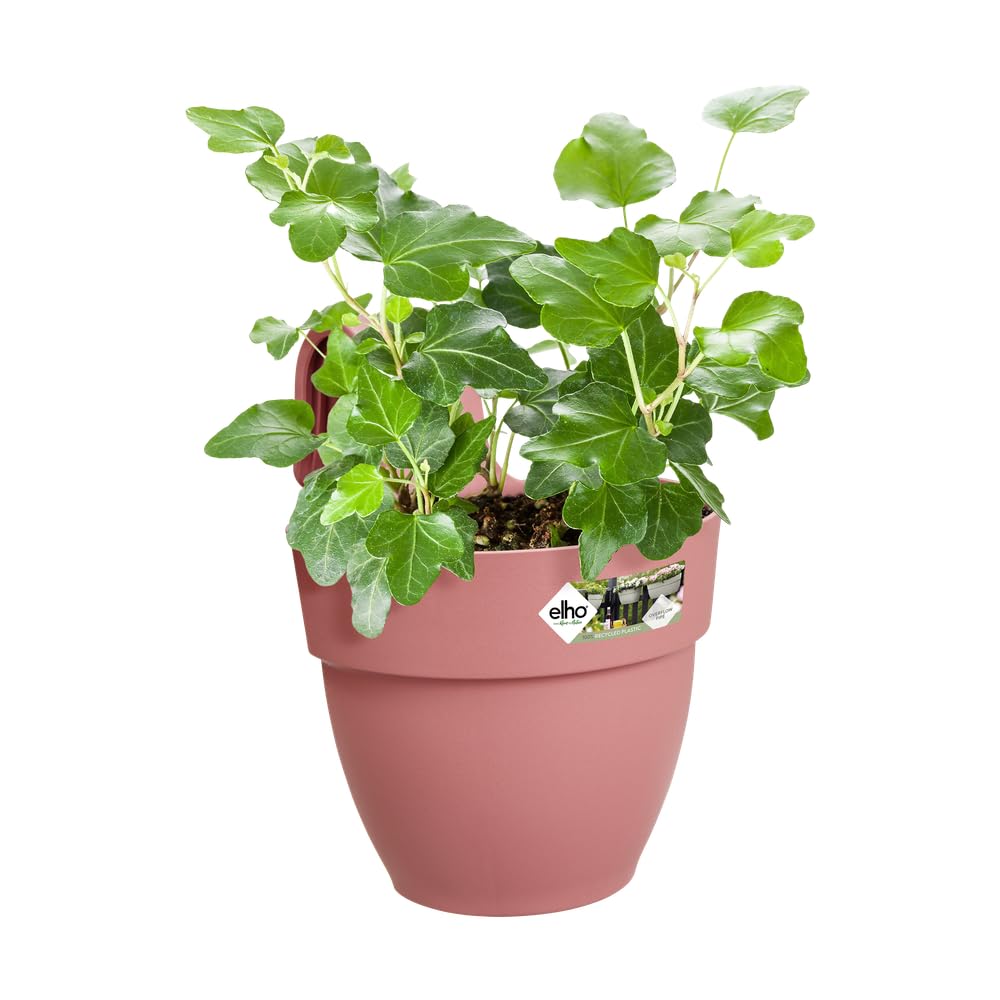 elho Vibia Campana Easy Hanger Pflanztopf Puderrosa Small