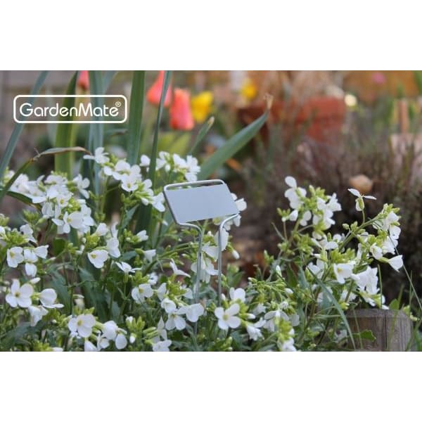 GardenMate Pflanzschilder Banner Metall 26cm 25 Stück