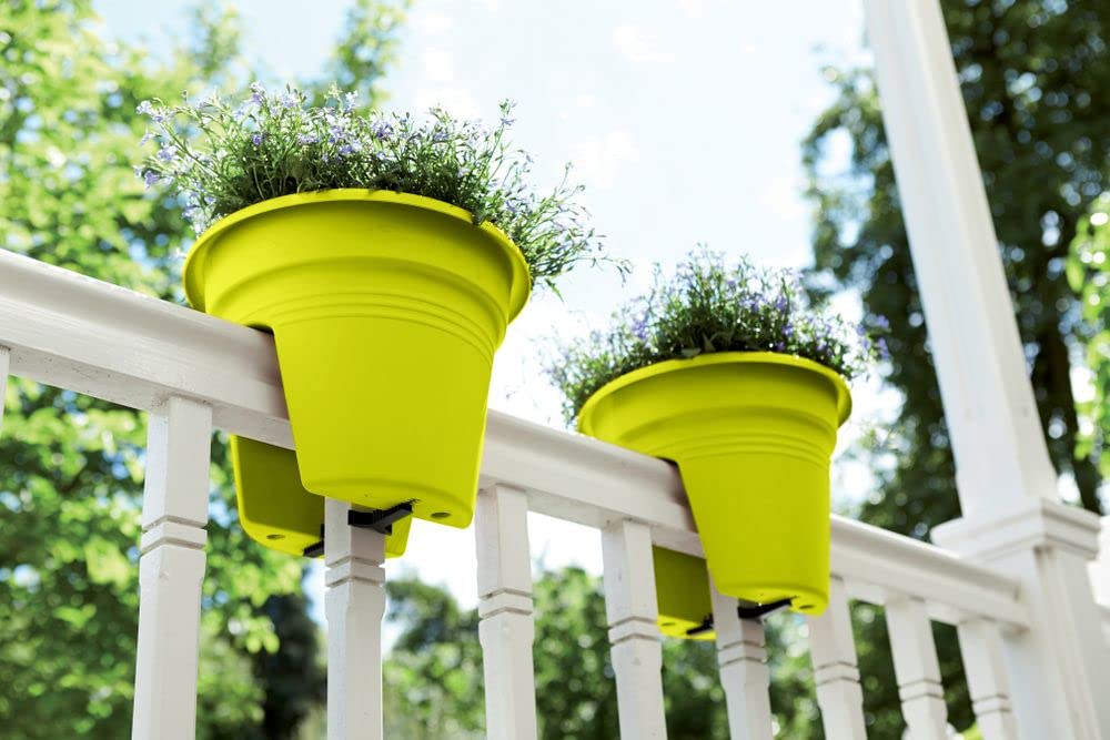 elho Green Basics Flower Bridge 30 Blumentopf Lime Grün