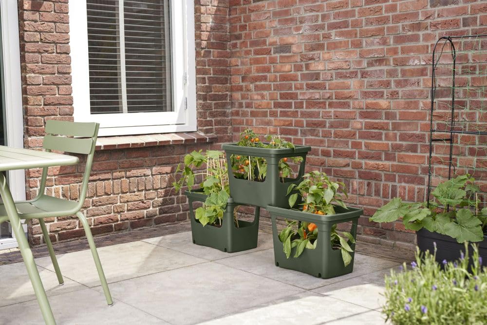 elho Green Basics Stack & Grow 50 Übertopf Laubgrün Gemüse