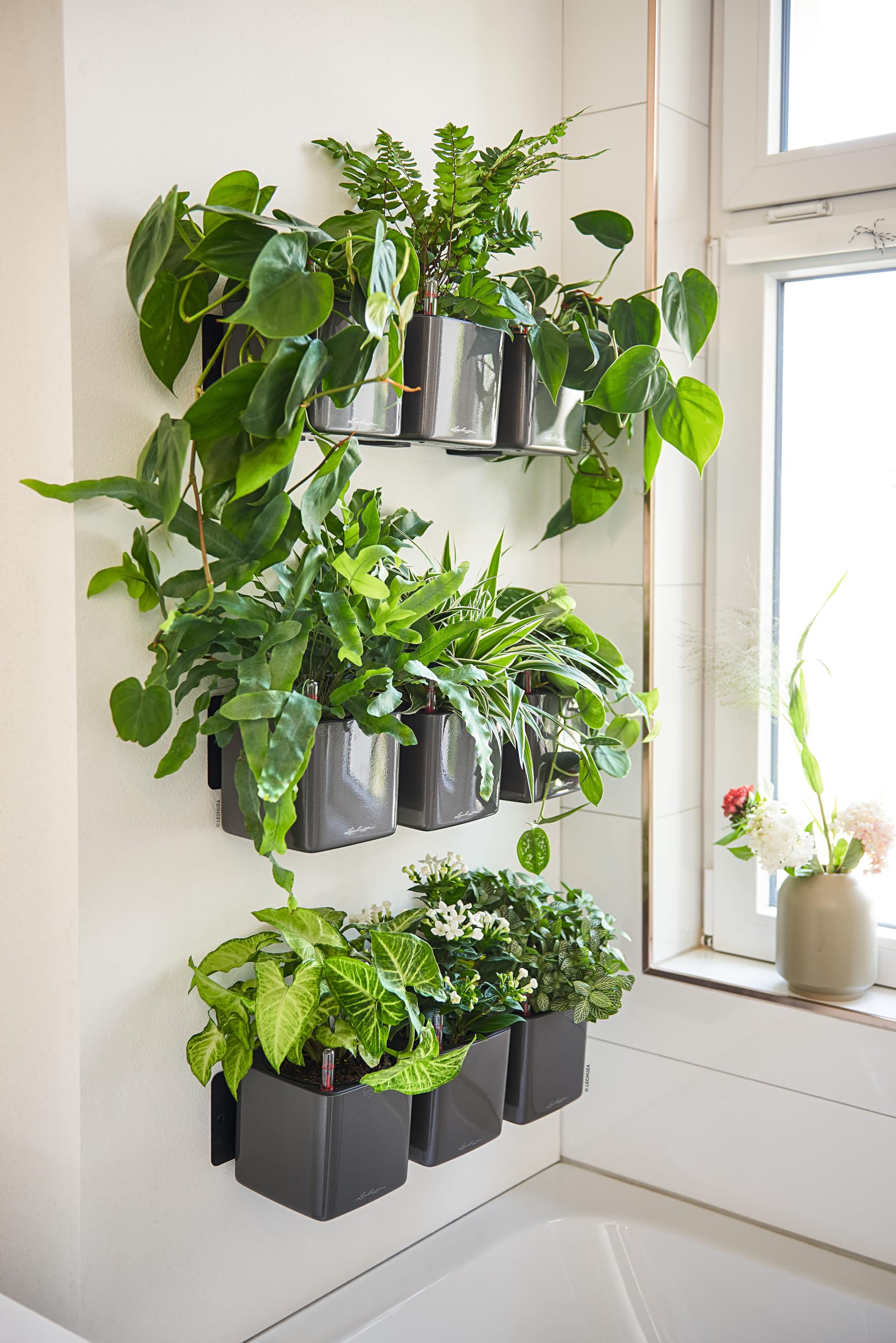 Lechuza Green Wall Cube Premium Wand Anthrazit Hochglanz