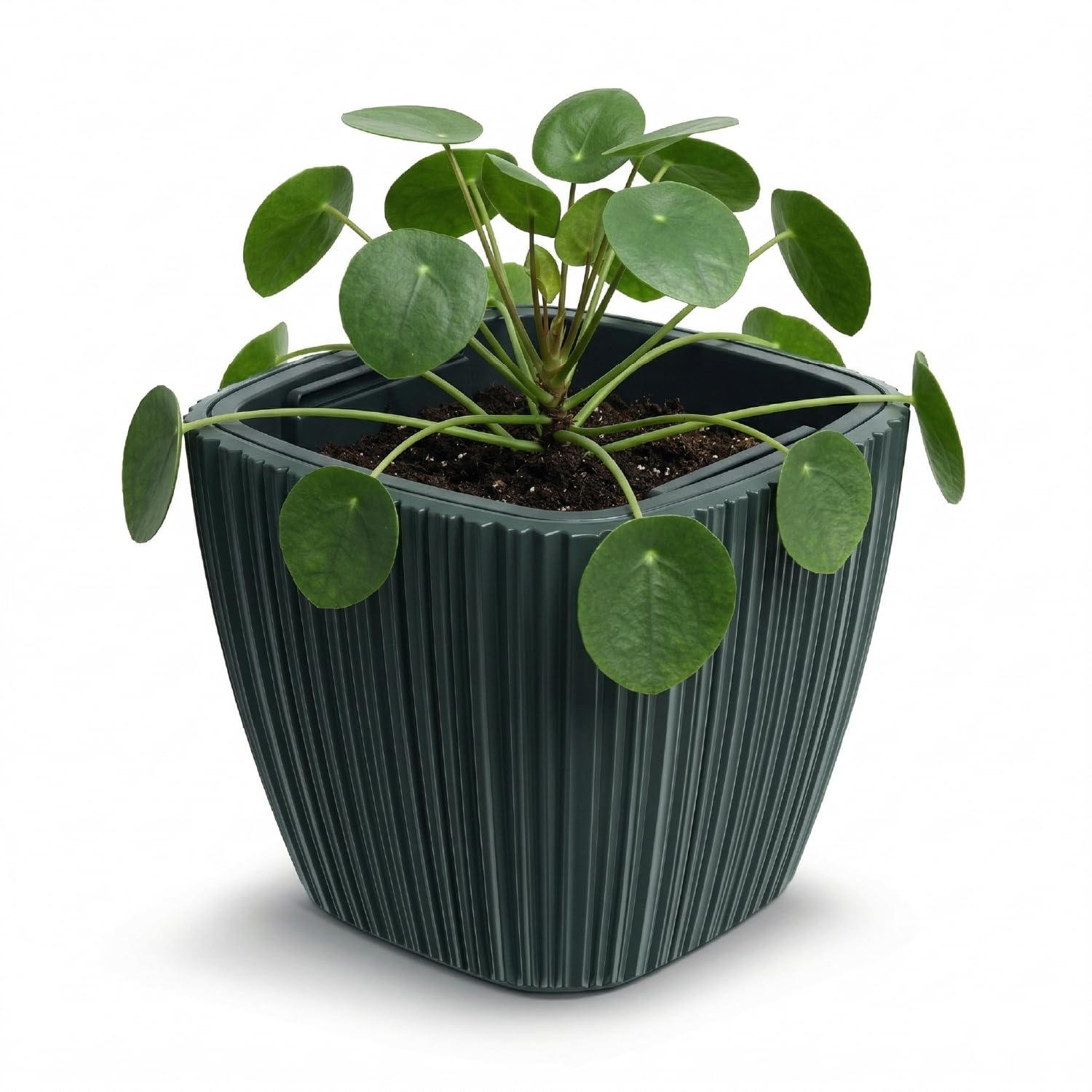 Prosperplast Tubus Oro Pflanztopf Dunkelgrau 23,9 x 24 cm