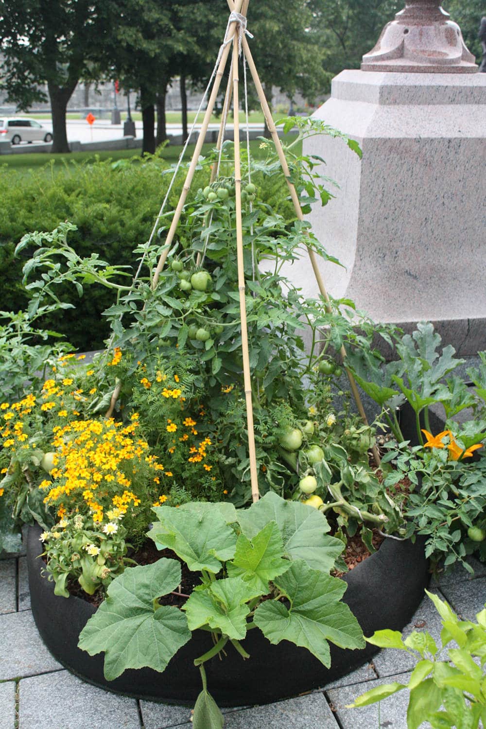 Smart Pot Raised Beds Round Raised Bed Hochbeet 36 Inch Schwarz Stoff