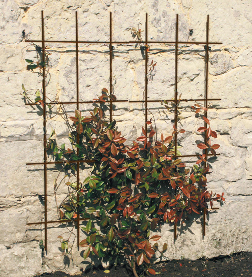 Sarah Raven Square Trellis Set Rankgitter Set 2 Rost 122cm
