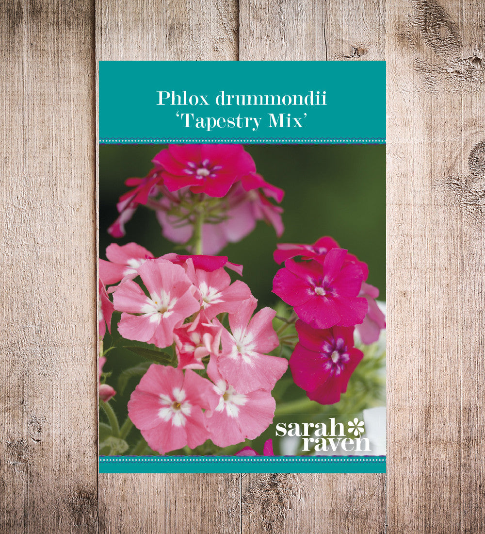 Sarah Raven Seeds Phlox Tapestry Mix Blumensamen 175 Samen