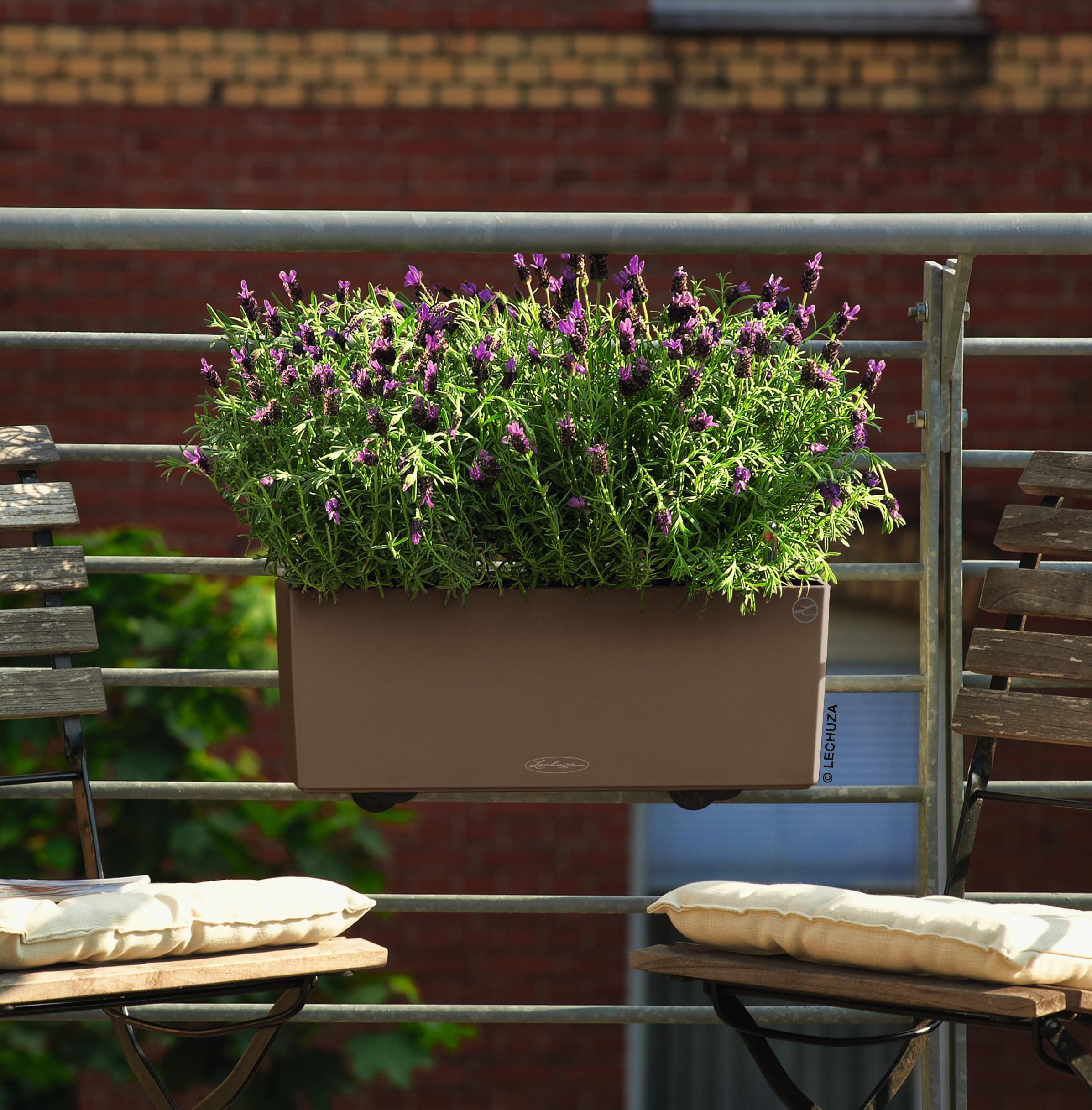 Lechuza Balconera Color 50 Blumenkasten Muskat mit Bewässerung