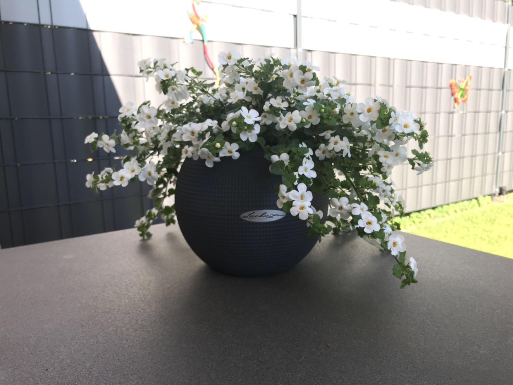 Lechuza PURO Color 50 Pflanzgefäß Schiefergrau Web-Optik