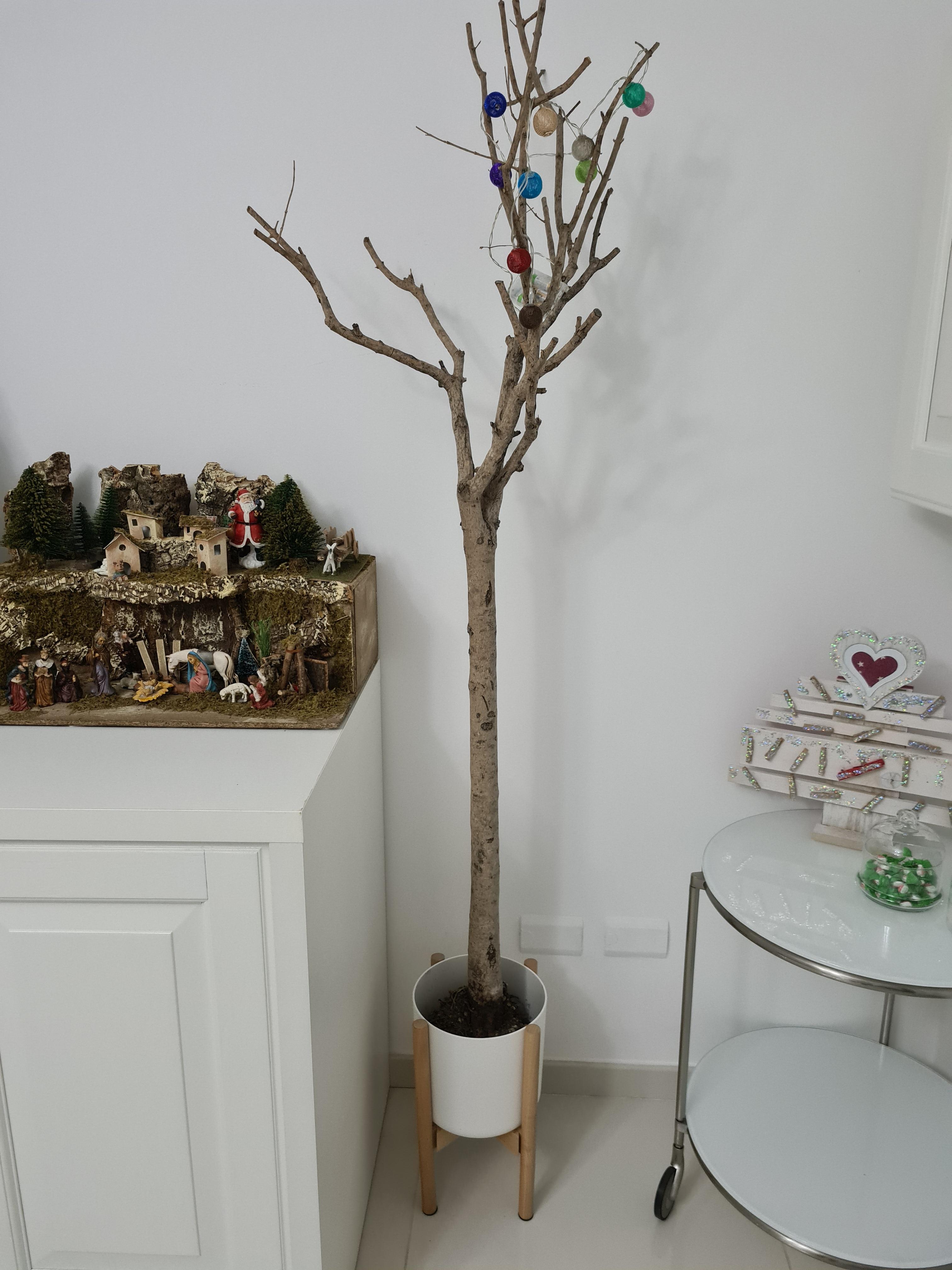 elho B.for Soft Blumentopf 25 cm Anthracite recycelt