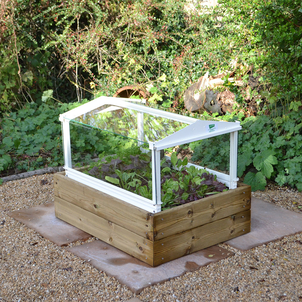 Sarah Raven Gardening Herb & Salad Cloche Planter Pflanzgefäß Holz Glas 84cm