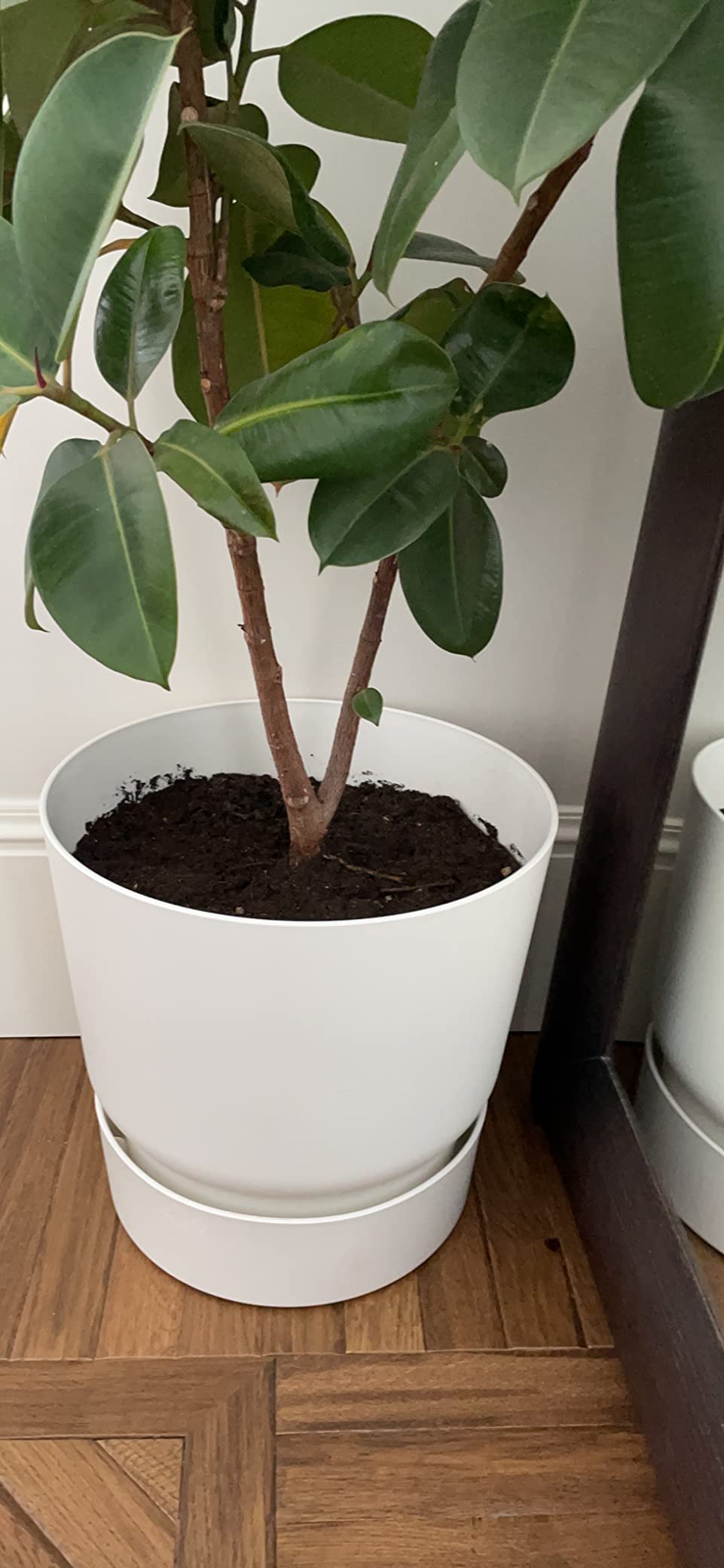 elho Greenville Rund Blumentopf 25 cm Weiß