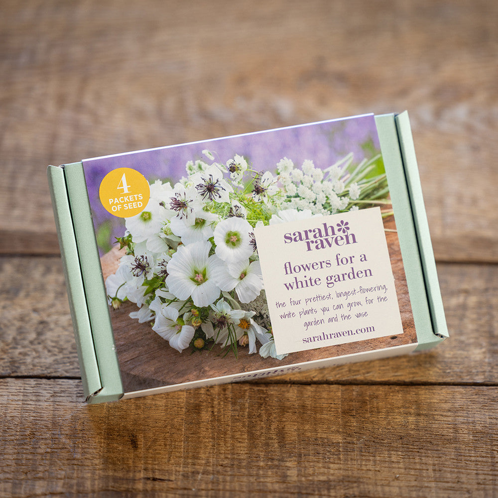 Sarah Raven Seeds White Garden Blumensamen Geschenkbox 4 Tüten weiß
