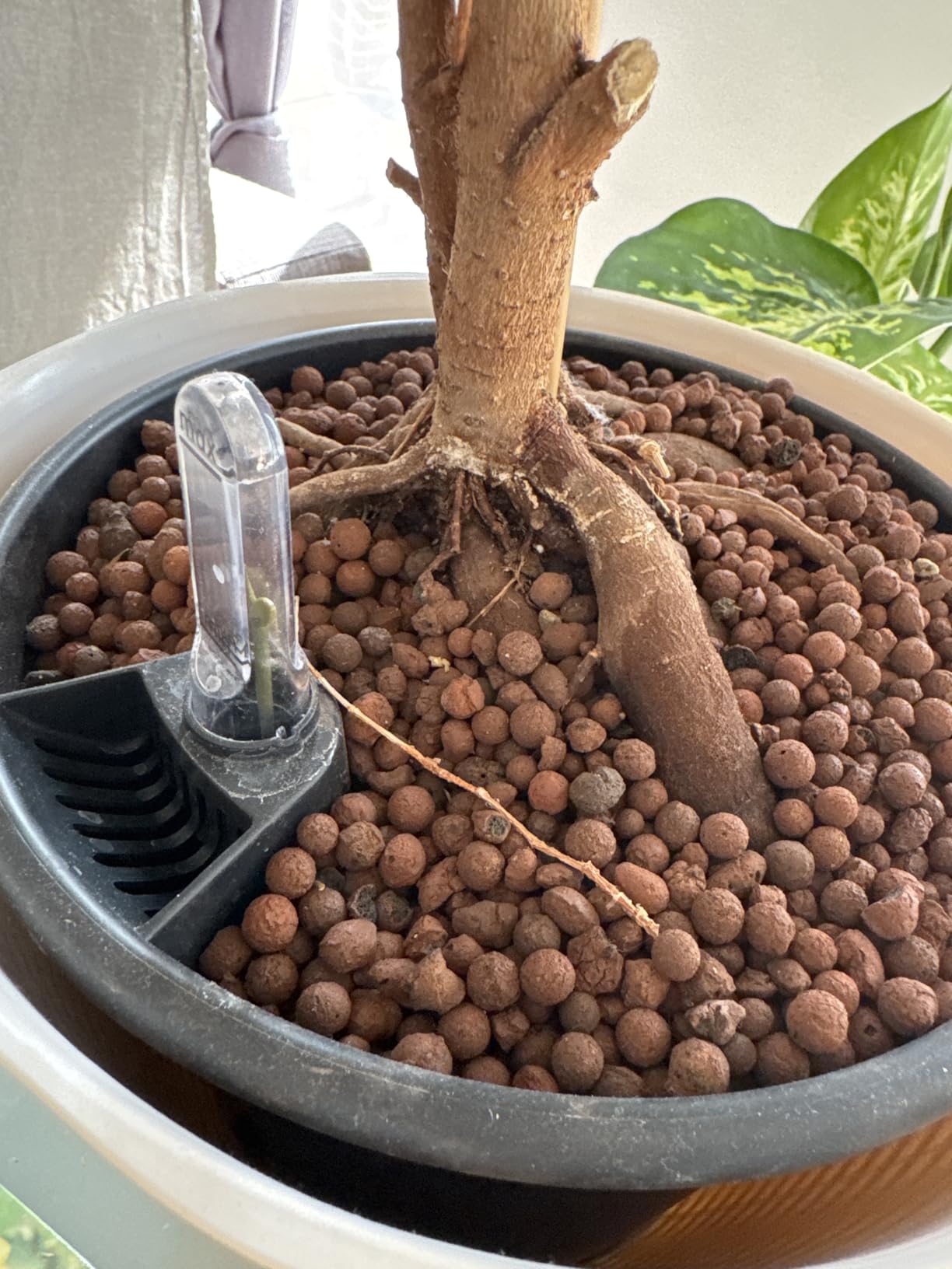 elho Bewässerungssystem 24 cm Living Schwarz Selbstbewässerung