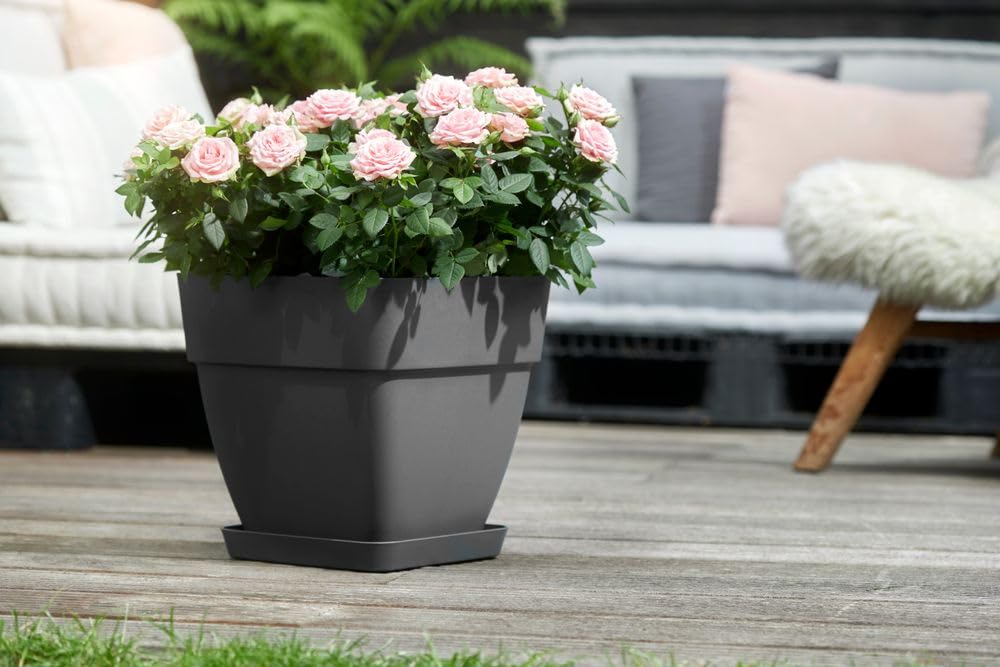 elho Vibia Campana 37 Blumentopf Anthracite Quadratisch