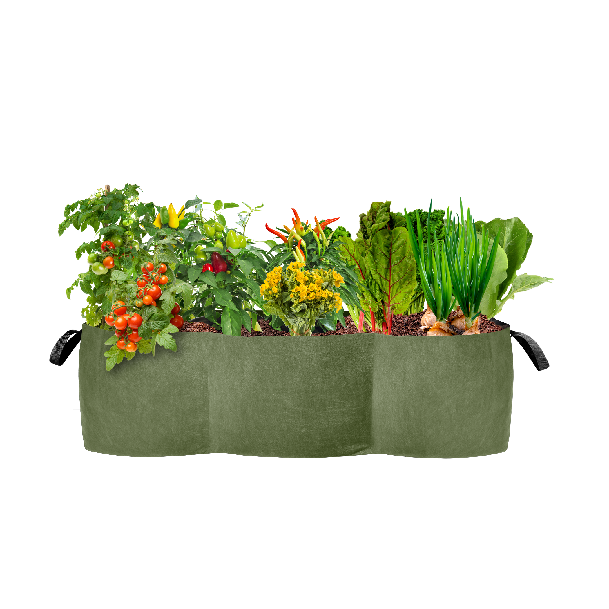 Smart Pot Raised Beds Pflanzsack Lil Shorty Hochbeet