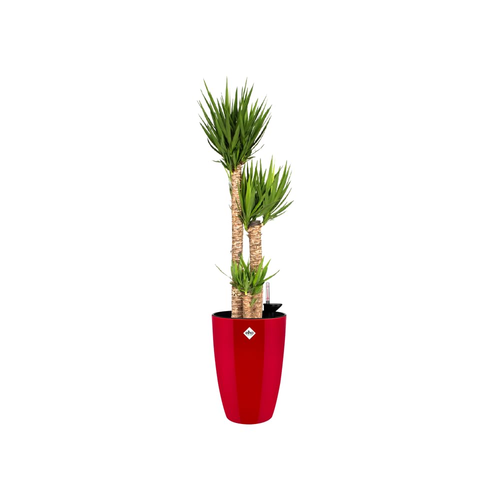 elho Brussels Diamond Rund Hoch 32 Blumentopf Lovely Rot Kunststoff