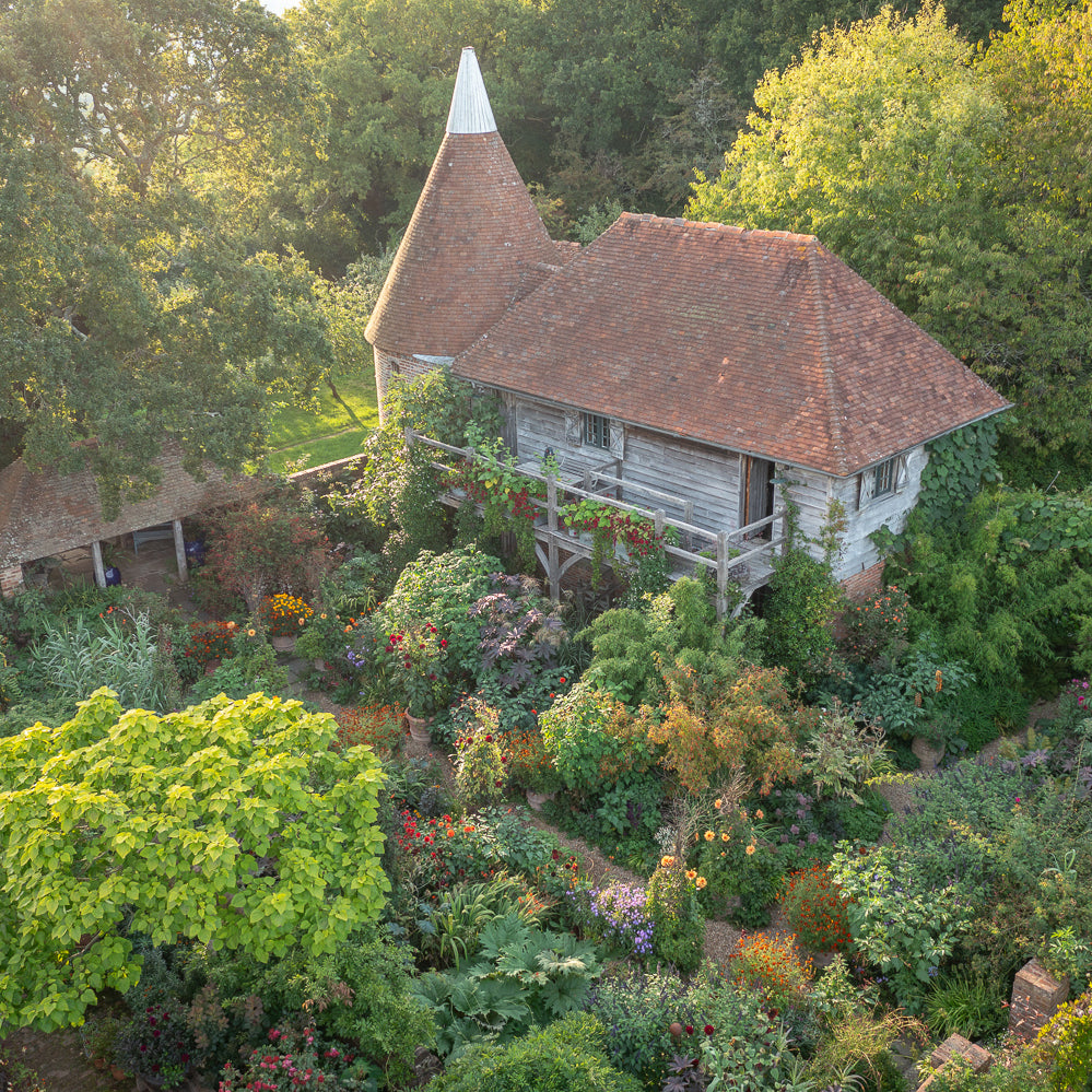 Sarah Raven Perch Hill Dahlia Day Kurs 18. September Dahlien
