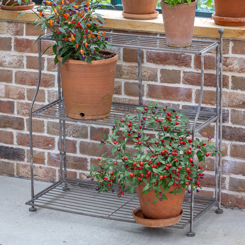Sarah Raven Plant Theatre Pflanzenregal Metall 75cm klappbar