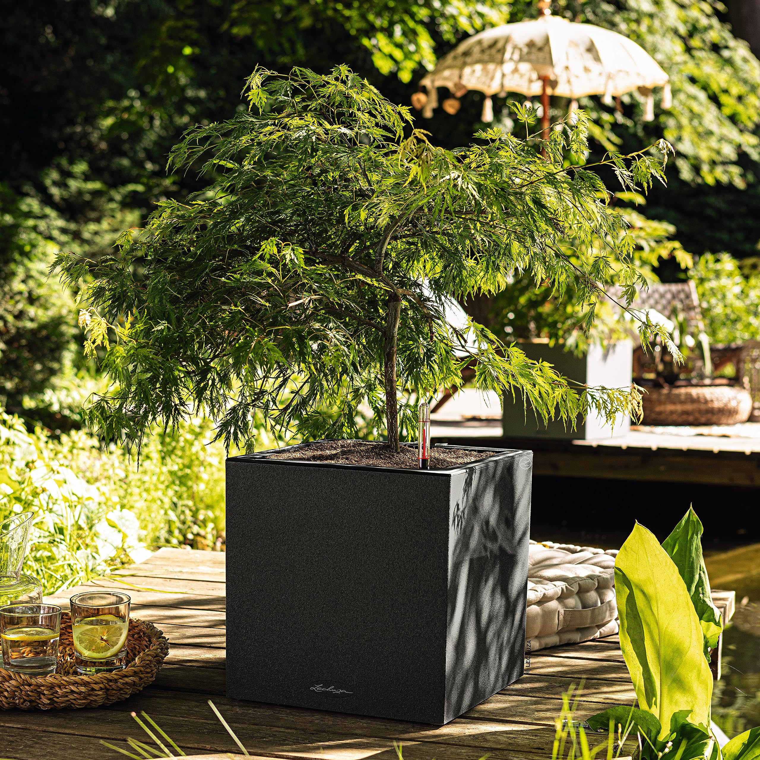 Lechuza Canto Stone 30 Low LED Pflanzgefäß graphitschwarz