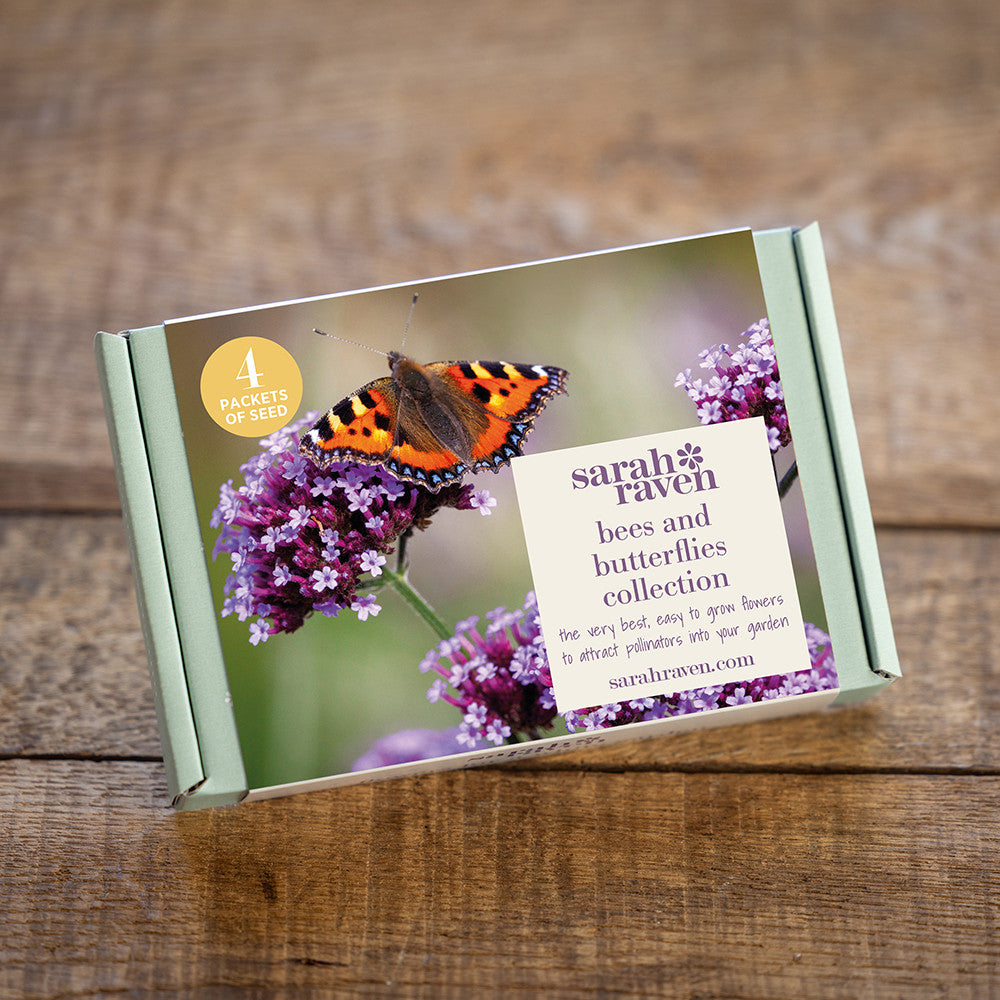 Sarah Raven Seeds Bienen Box Saatgut 4 Packungen Geschenk
