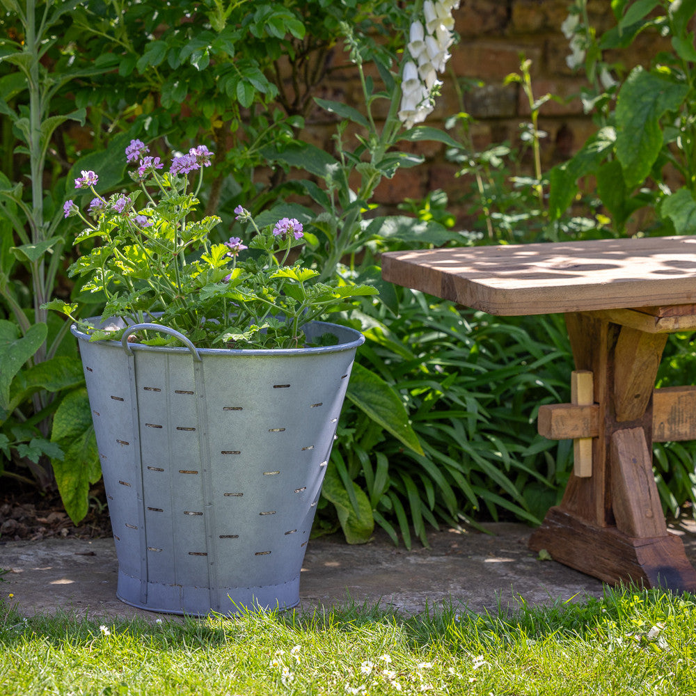 Sarah Raven Gardening Olive Picking Bucket Pflanztopf verzinkt 40cm