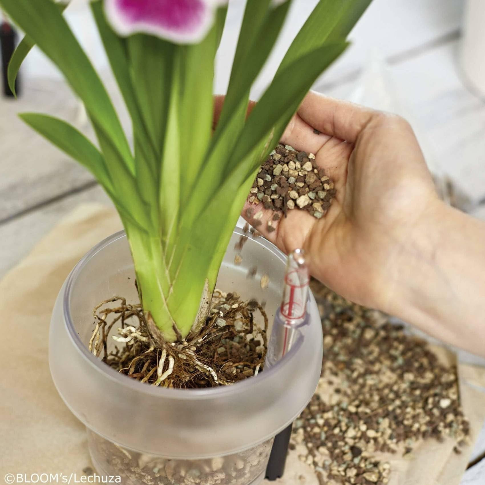 Lechuza Orchidea Color Orchideentopf Weiß Ø18cm Dochtsystem