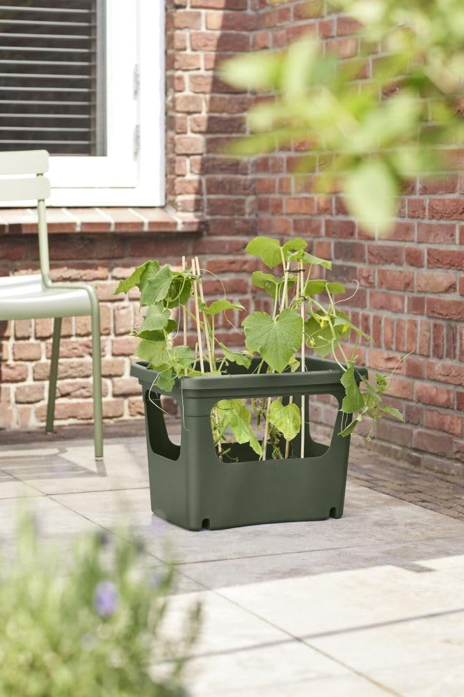 elho Green Basics Stack & Grow 50 Übertopf Laubgrün Gemüse