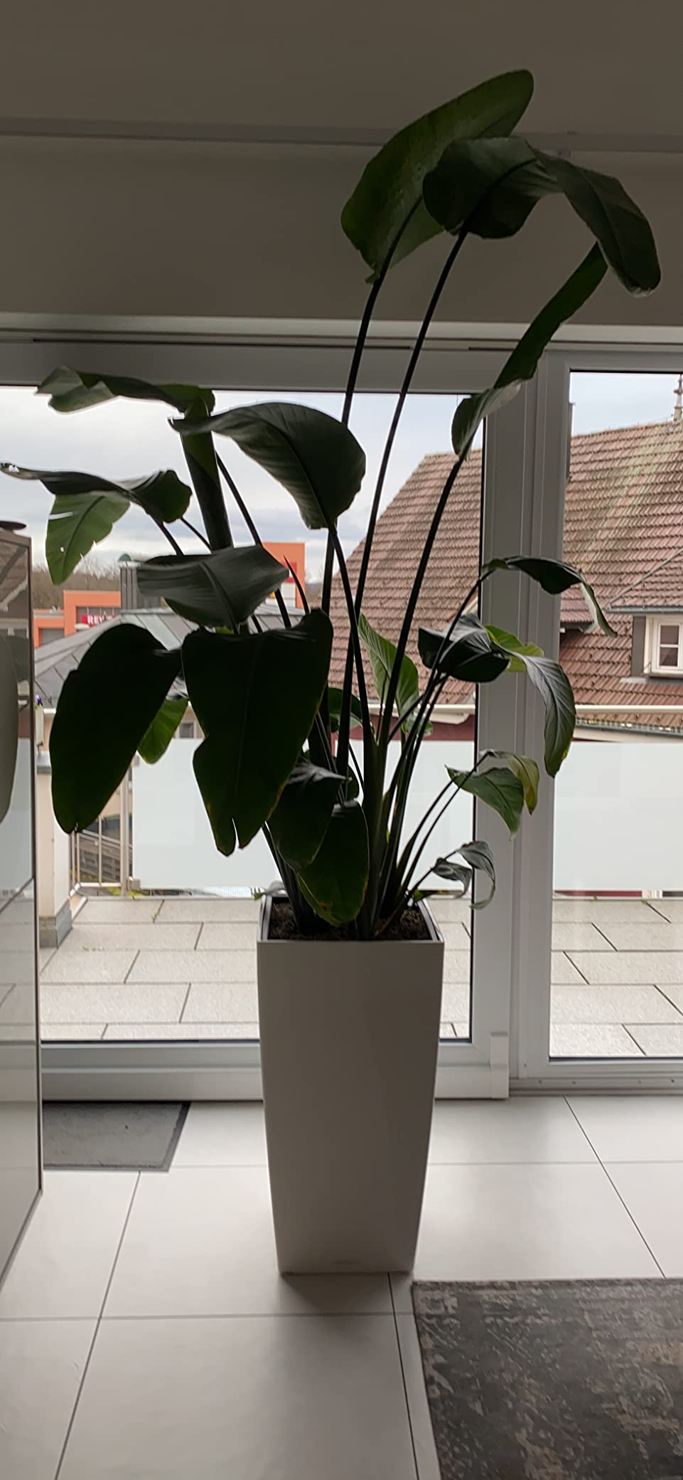 Lechuza CUBICO Premium 22 Pflanztopf Silber Bewässerung