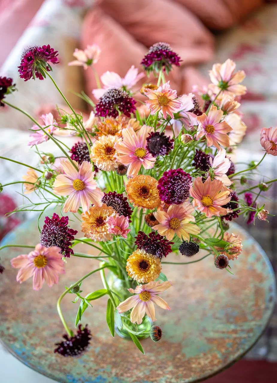 Sarah Raven Seeds Harvest Bunch Blumensamen 3 Tüten Schnittblumen