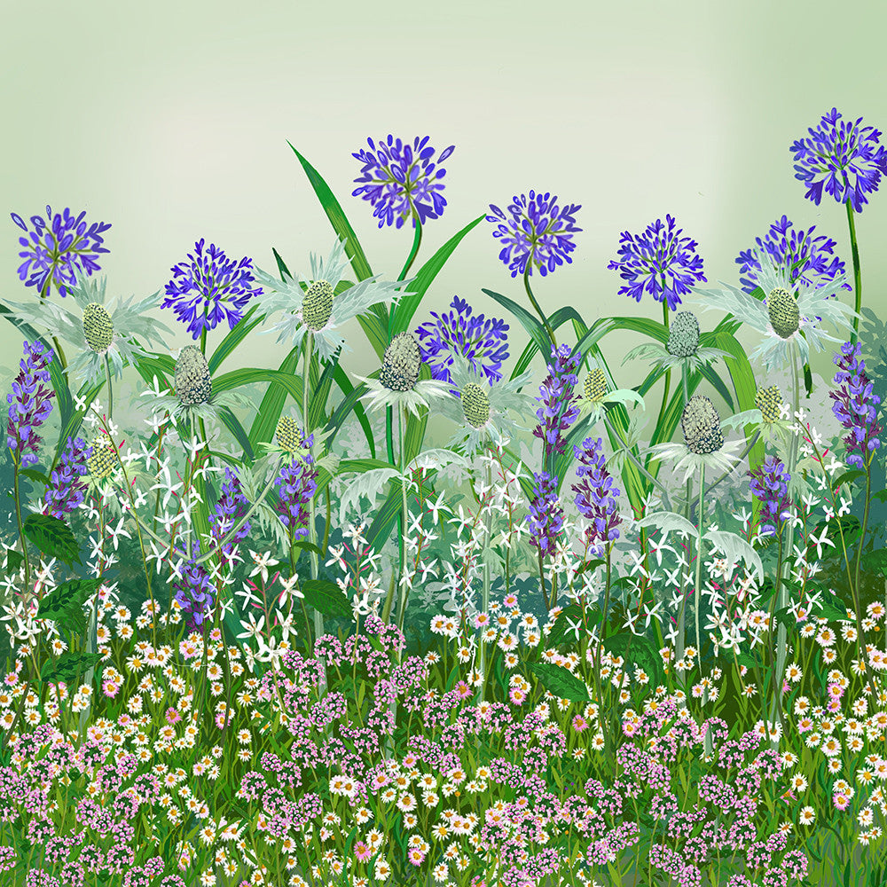 Sarah Raven Sandy Soil Border Pflanzen 18x9cm bienenfreundlich