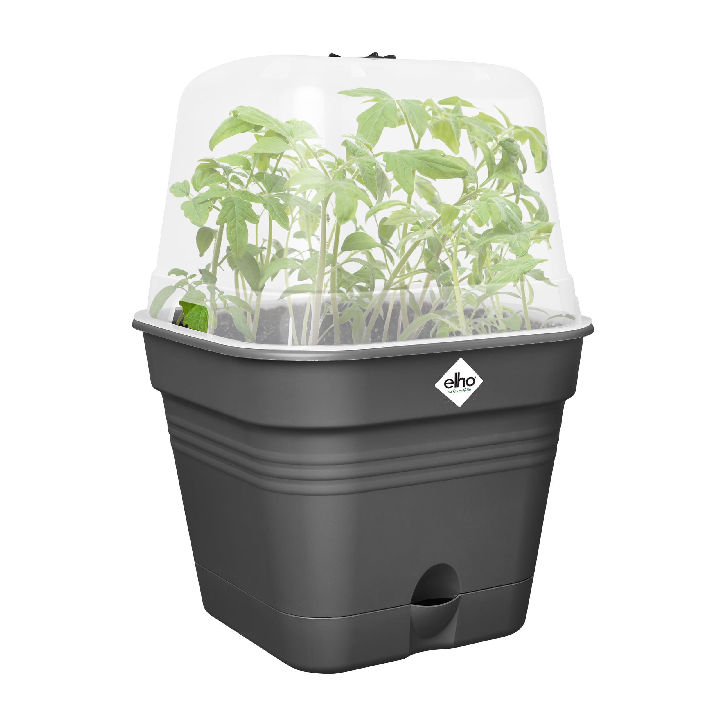 elho Green Basics Anzuchtset All-in-1 25 Living Schwarz