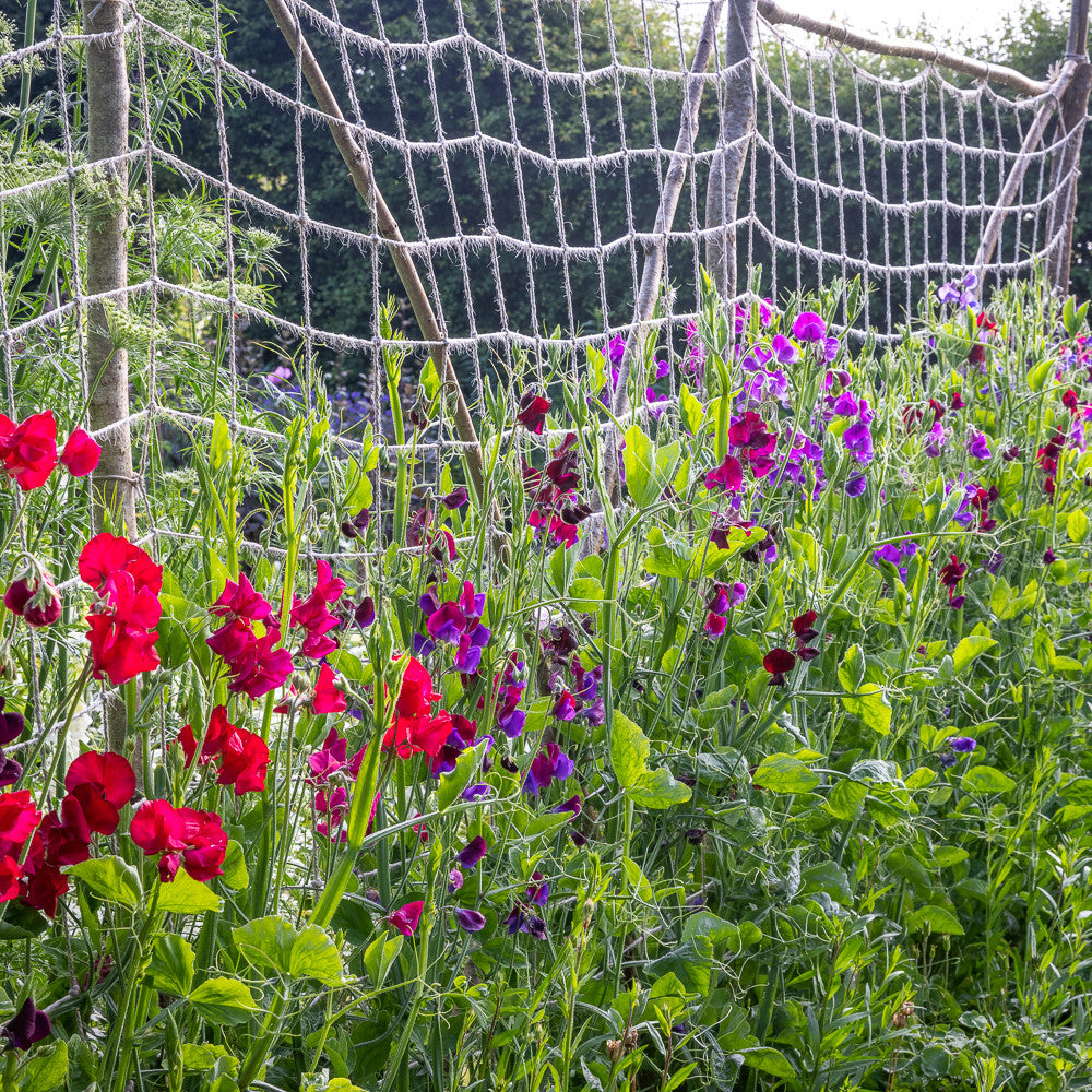 Sarah Raven Natural Jute Netting Ranknetz Jute Mittel
