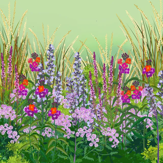 Sarah Raven Plants Low Maintenance Border Collection Pflanzen 18x9cm pflegeleicht