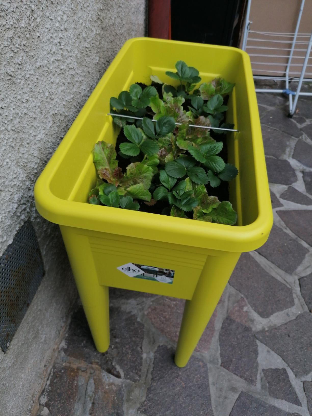 elho Green Basics Anzuchttisch XXL 75cm Living Schwarz recycelt