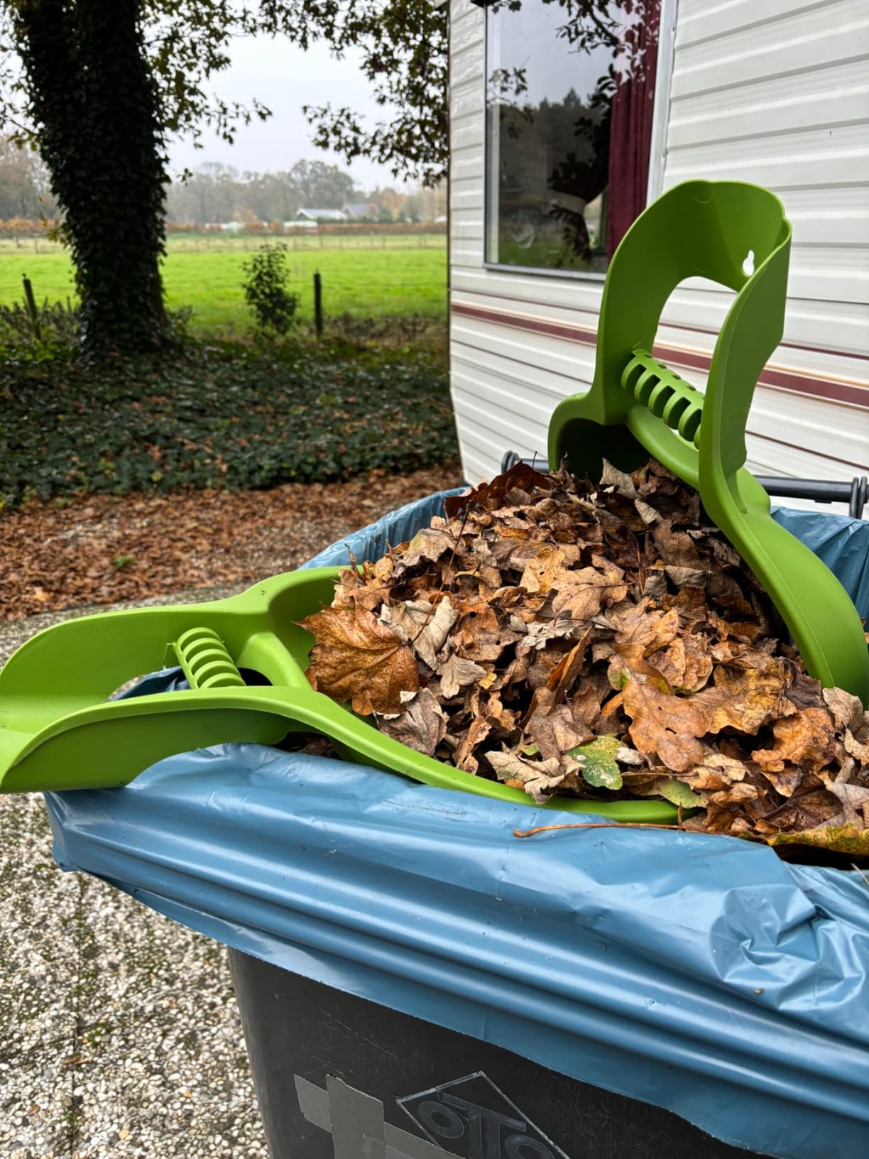 Prosperplast Iglis Laubkrallen 2er Set Grün 52 cm