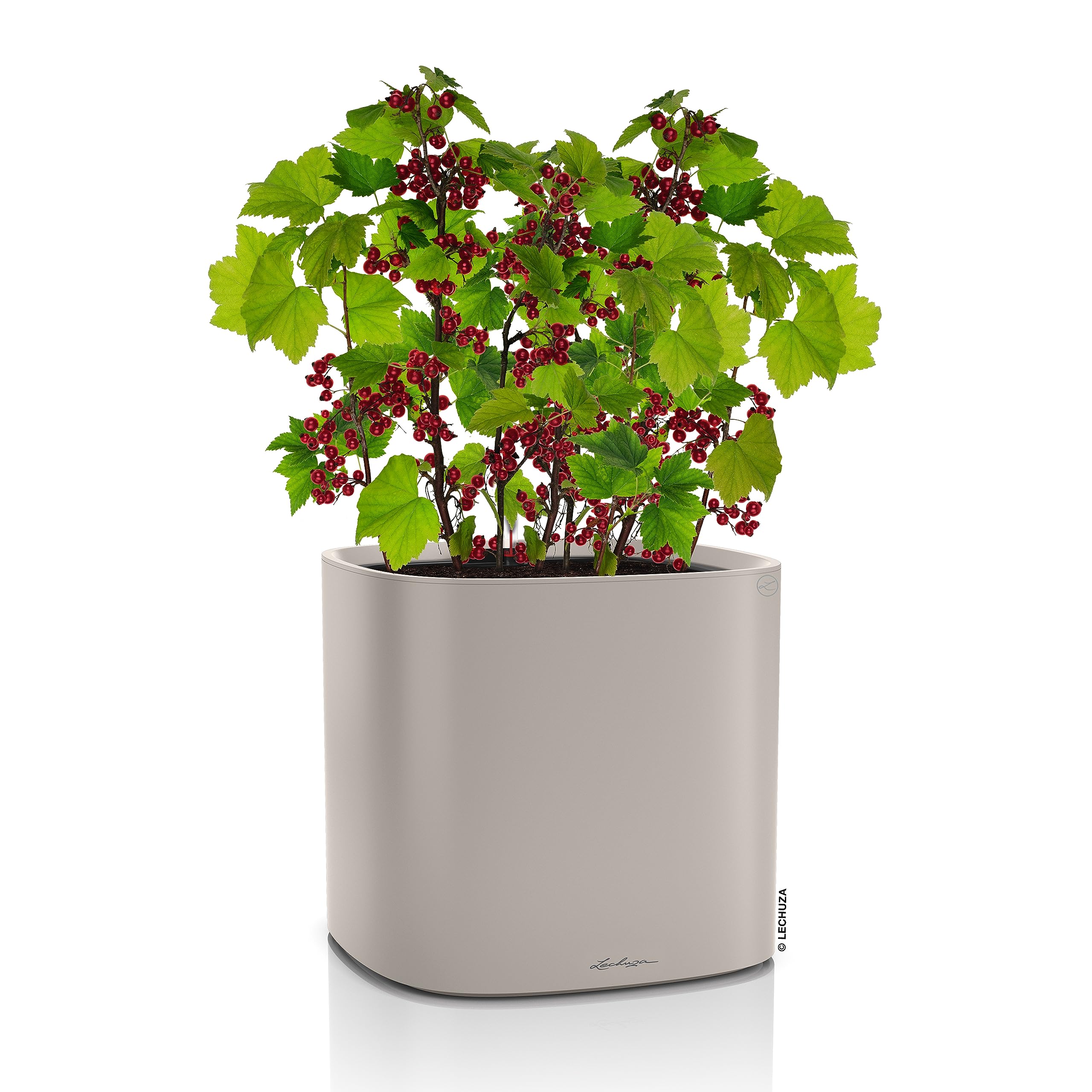 Lechuza Pila Planter 35 sandbraun mit Bewässerung