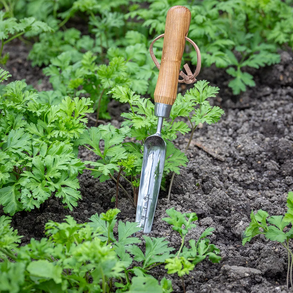 Sarah Raven Seedling Trowel Pflanzkelle 1 Stück Edelstahl 36 cm